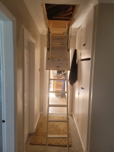 Loft Ladder