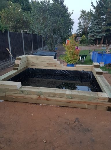 new koi pond