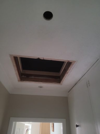Replace Loft Hatch